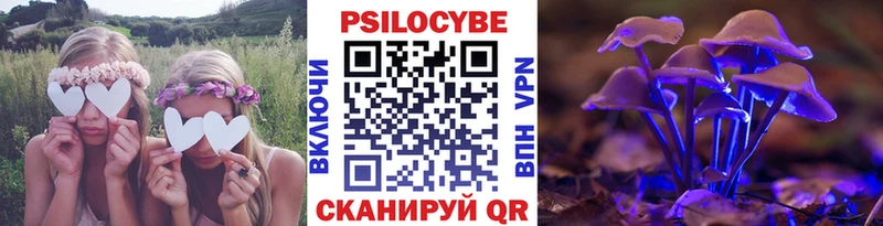 Псилоцибиновые грибы мицелий  магазин продажи   Павлово 